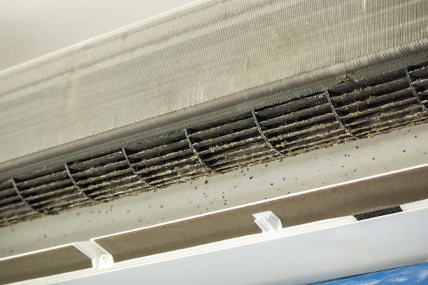 Best HVAC Air Duct Cleaning  in Bryan, TX